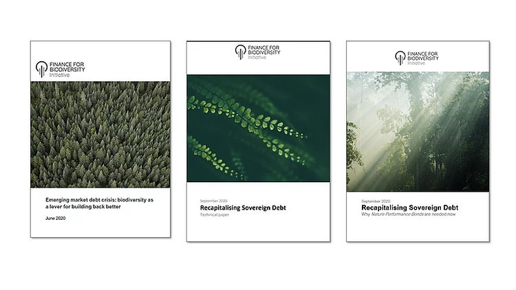 Sovereign Debt reports.jpg